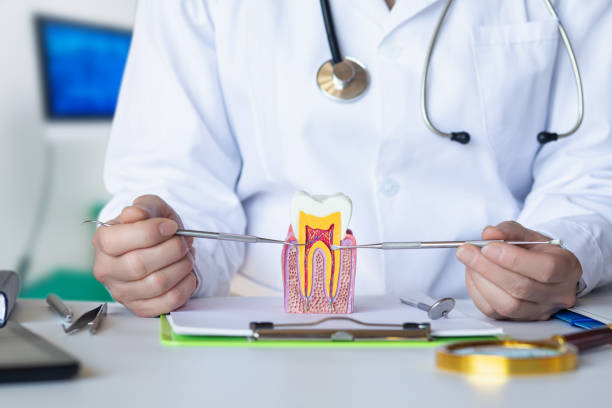 Best Same-Day Emergency Dental Services in Swepsonville, NC